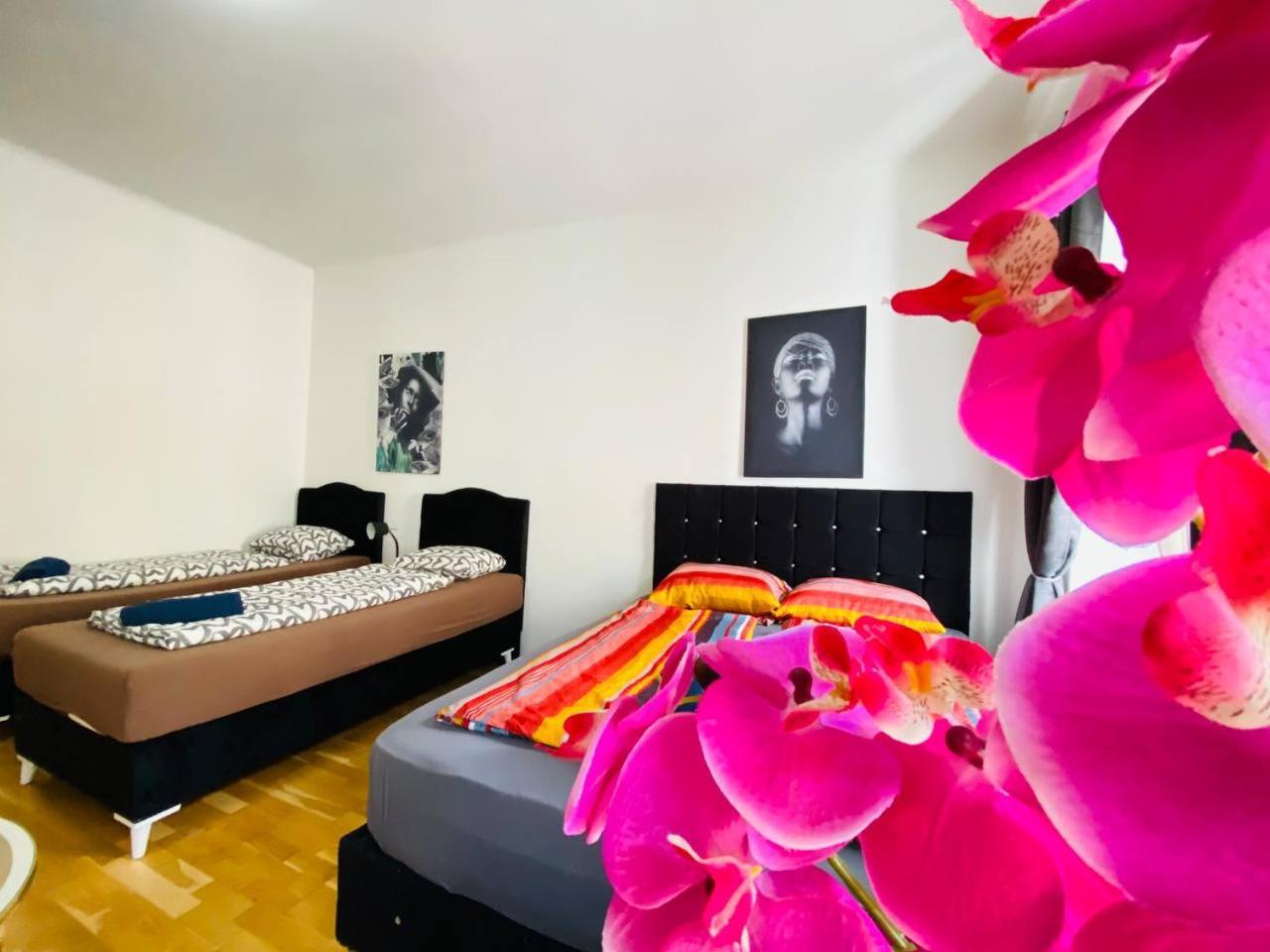 Apartamento Deluxe Studio In Josefstaedter Strasse Area Viena Exterior foto