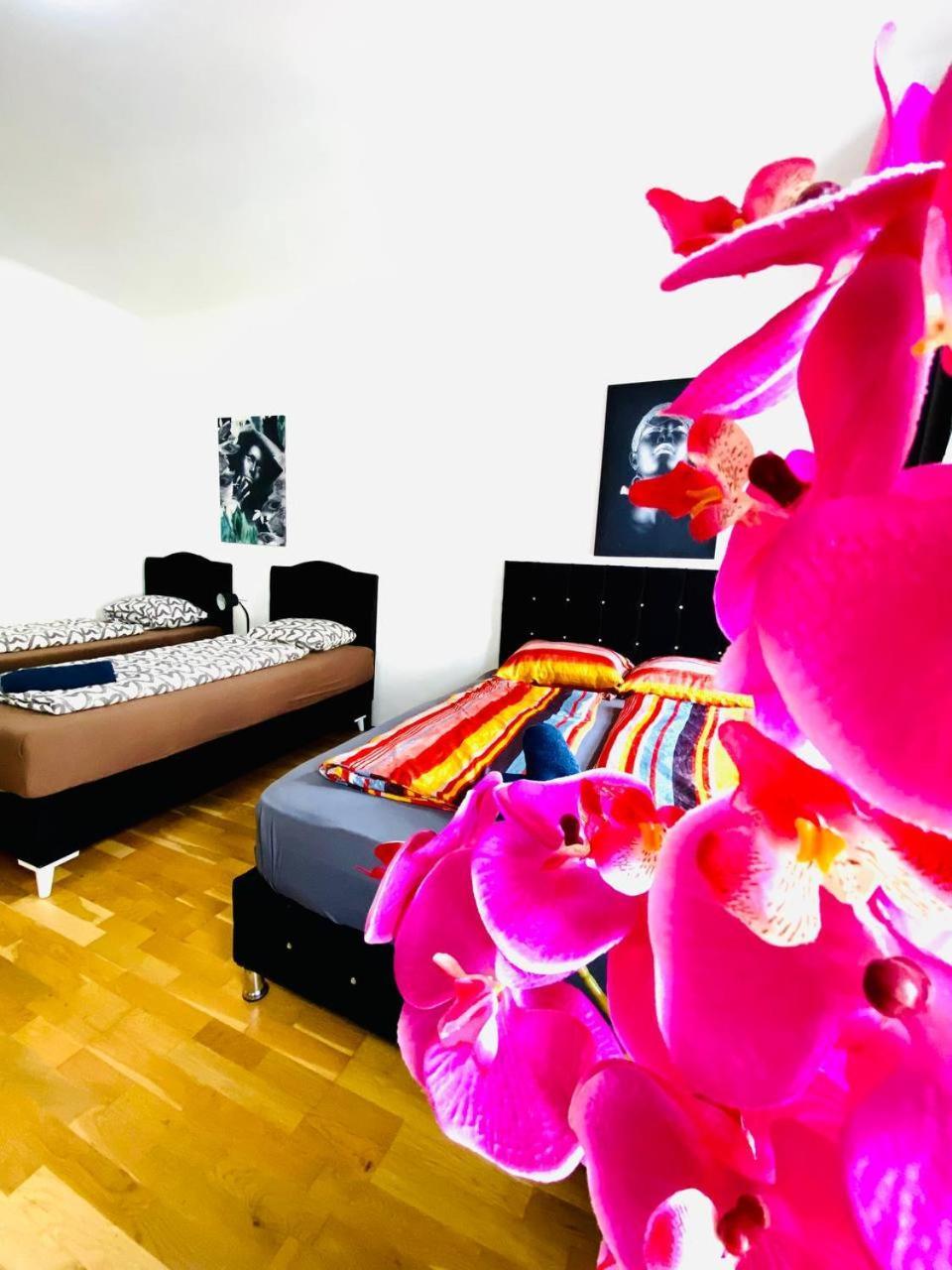Apartamento Deluxe Studio In Josefstaedter Strasse Area Viena Exterior foto